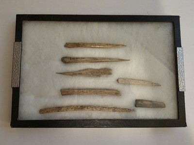 Primitive Bone Awls & Sewing Tools Display   Cataloged G.A.G. Collection   Antiq