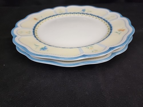 Lot de 2 assiettes à dîner fleurs de jardin provençales Lenox 11 pouces vintage magnifiques 🙂 🙂 - Photo 12/13