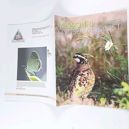 Missouri Conservationist 2021 Komplettsatz Januar - Dezember Zeitschriften - Bild 8 von 24