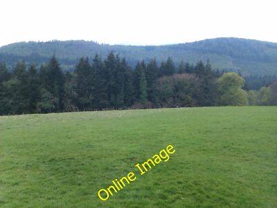 Foto 12x8 Tollymore Forest Park Bryansford Ein belebter Ort an einem 1. Mai B c2013