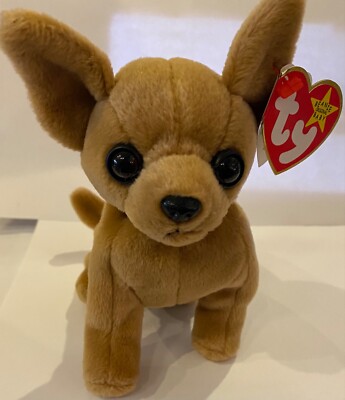 TY beanie baby (Tiny)the chihuahua errors misspelled swing tag, no stamp tush ta