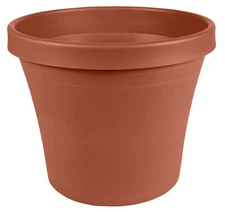 Bloem Terra 7.25 in. H X 6 in. W X 8.5 in. D Resin Traditional Planter Terra Cot