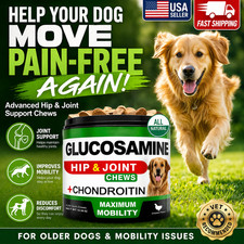 Dog Joint Support Chews 120 Glucosamine Hip Mobility Supplement All Breeds