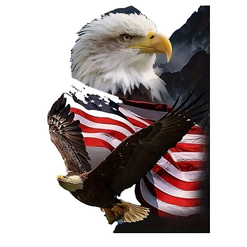 Patriotic Framed Picture Cross Stitch Kits