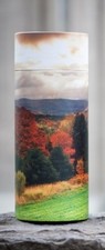 Large/Adult 200 Cubic Inch Autumn Trees Scattering Tube Cremation Urn for Ashes