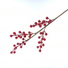 Bild 11 von 28