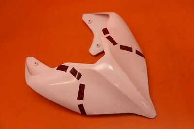 2020-2021 DUCATI PANIGALE V4 S ZXMT REAR BACK TAIL FAIRING COWL SHROUD