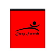 Deep Stretch 2220mAh Replacement ChinoBaTT01 Battery for Unimax UMX U683CL Phone