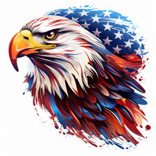 XXL 18X18 cm Autoaufkleber Sticker Adler USA Tier Aufkleber