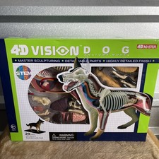 4D Vision Animal Dog Animal Organ Anatomy Model Detachable Medical Teaching New