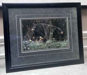 Lyman Stephen | eBay