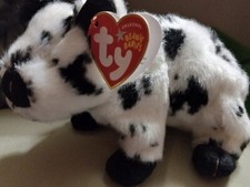 TY Beanie Baby Stubby the Black & White Pig  New w Tags 2004  