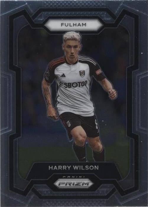 2023-24 Panini Prizm Premier League Harry Wilson #166 - 1 of 1