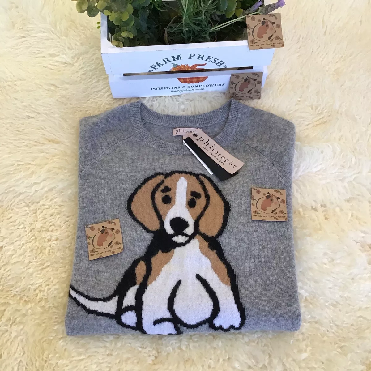 Beagle clothing deals and accessories
