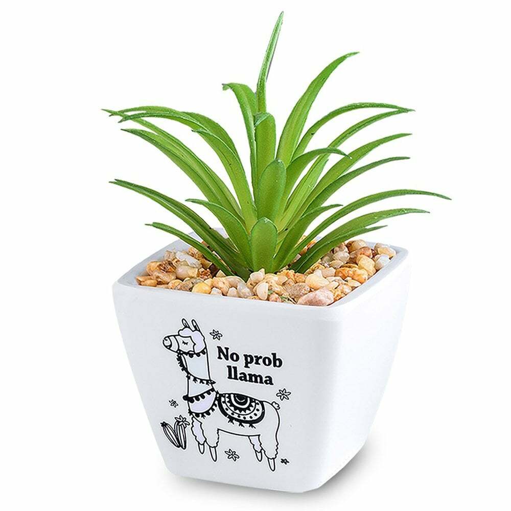 H&H Sentiment Succulent Artificial Plant Pot - No Prob Llama 00281000026