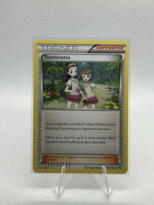 Pokémon TCG Primal Clash Teammates 141/160 Trainer Card Uncommon