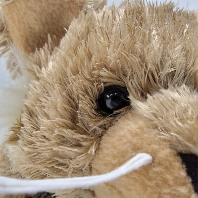 Ganz Webkinz Lynx Cat Plush HM610 - No Code - Rare! | eBay