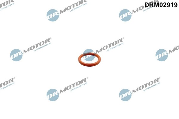 Dr.Motor Automotive Dichtung, ÖLauslass (Lader) DRM02919 Passend FüR Nissan-image