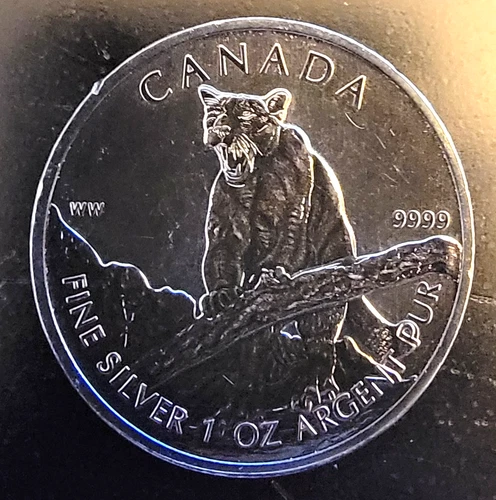 2012 Cougar Royal Canadian Mint CA Dark TONED Bullion-0.999 Silver 1 Oz Art Coin
