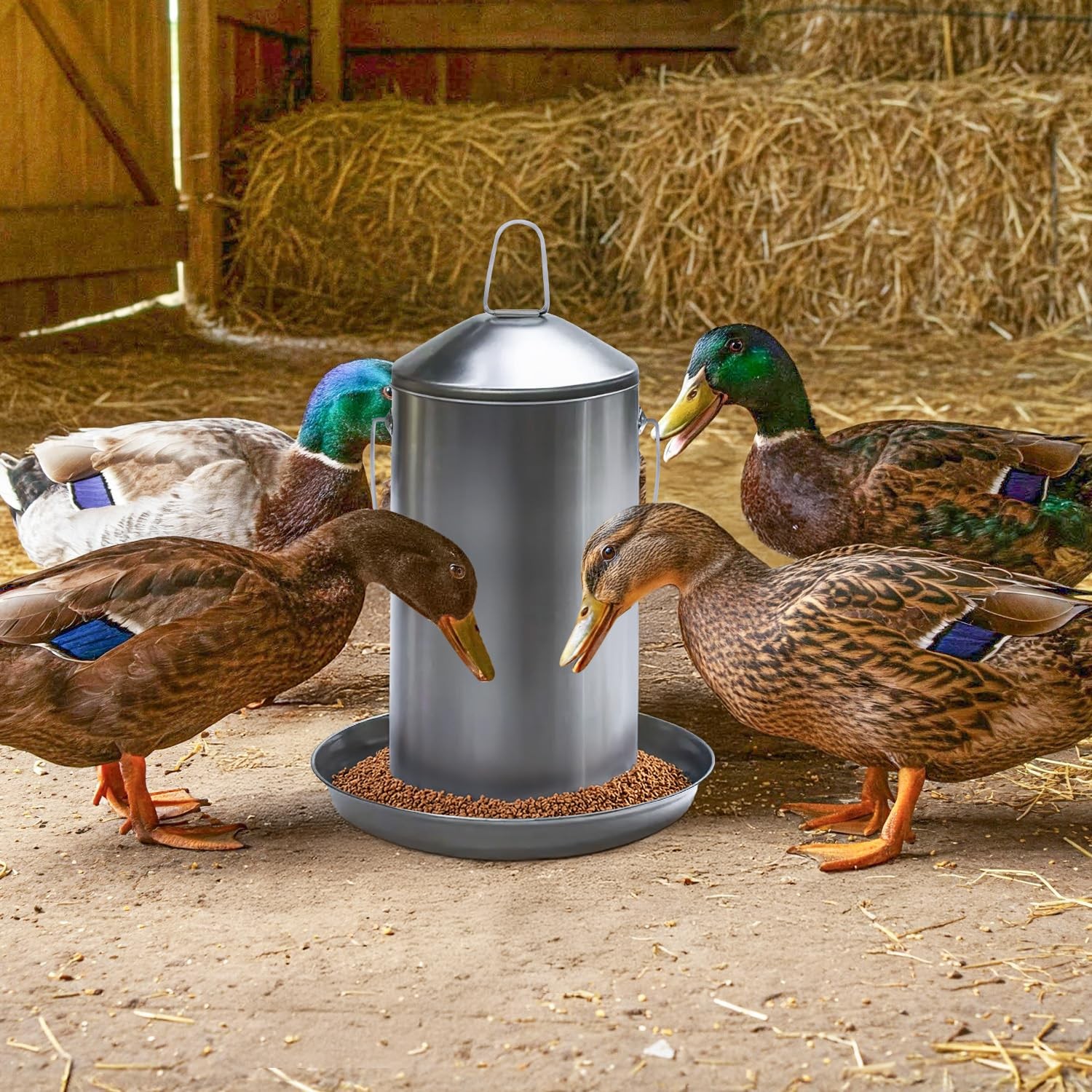 8.8 Lb Stainless Steel Hanging Chicken Feeder no Waste Food-Grade - Poultry F...