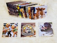 Custom Photo Magnets Set of 6