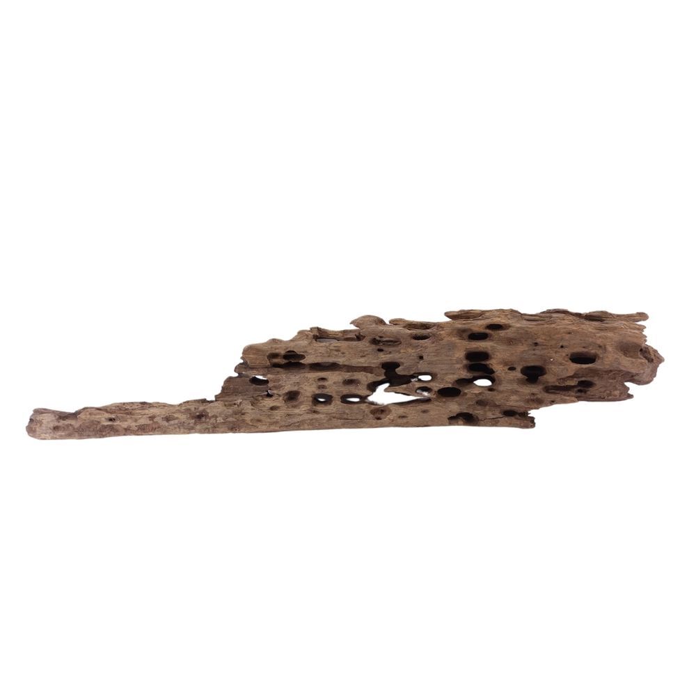 XL Honey Comb Radice Nr.1932 Acquario Mangrovie Decorazione Legno Aquascaping foto 3
