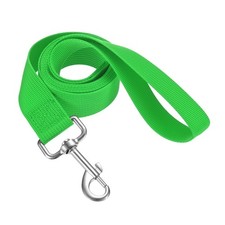 Nylon Dog Leash, 1 Pack Dog Training Leash 5 ft x 1 In, Green 