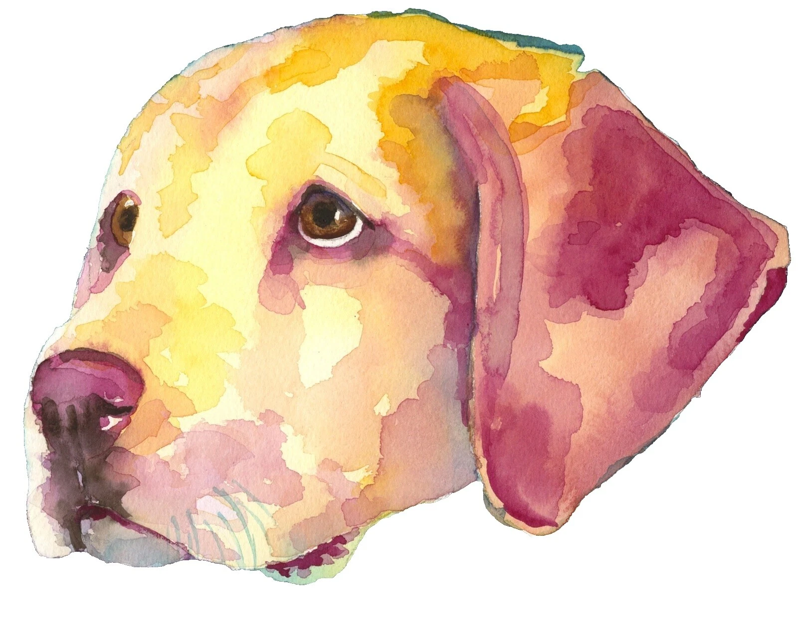 Swimming Realism Art Prints