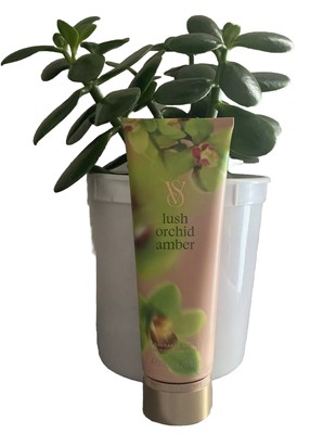 Victoria s Secret *LUSH ORCHID AMBER* Fragrance Body Lotion 8 Oz-New 
