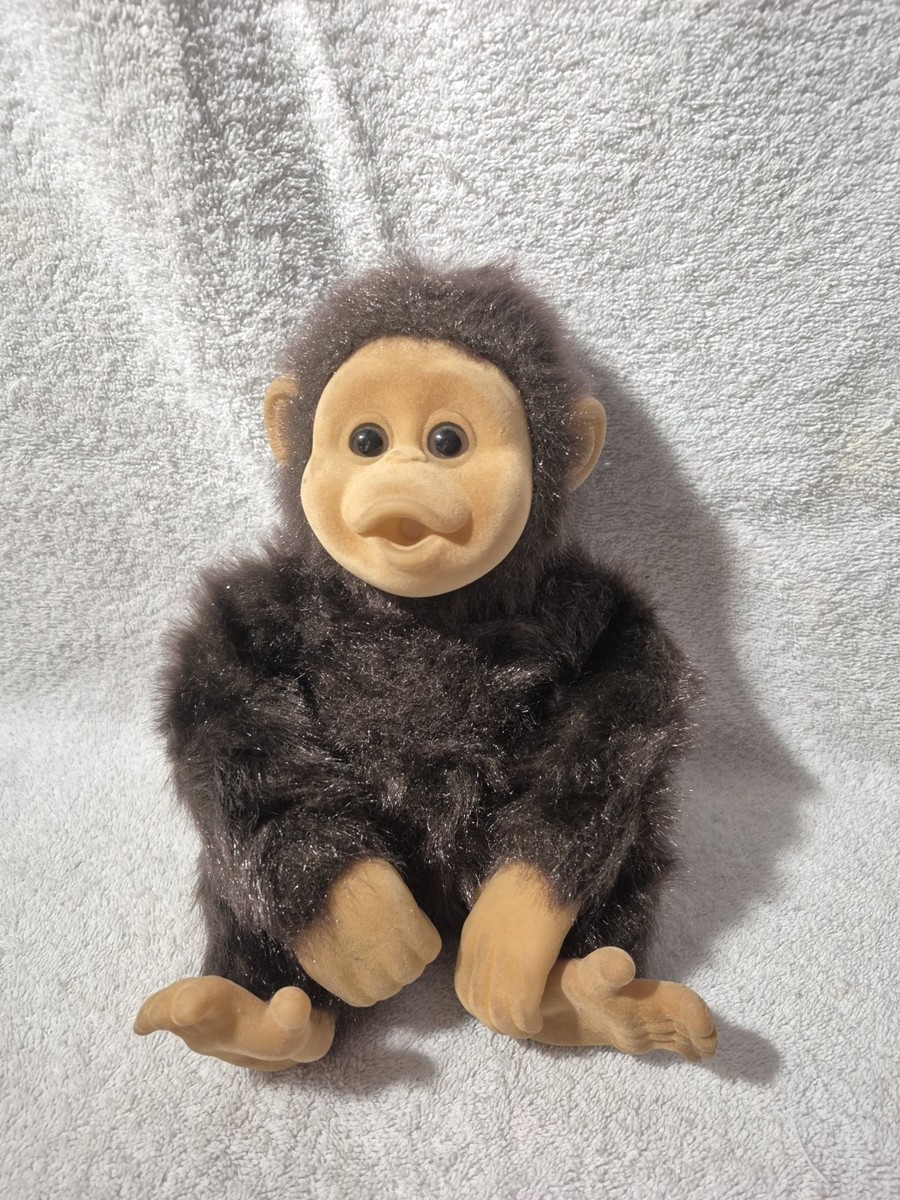 Hosung - Little Monkey Lost Chimps - 12