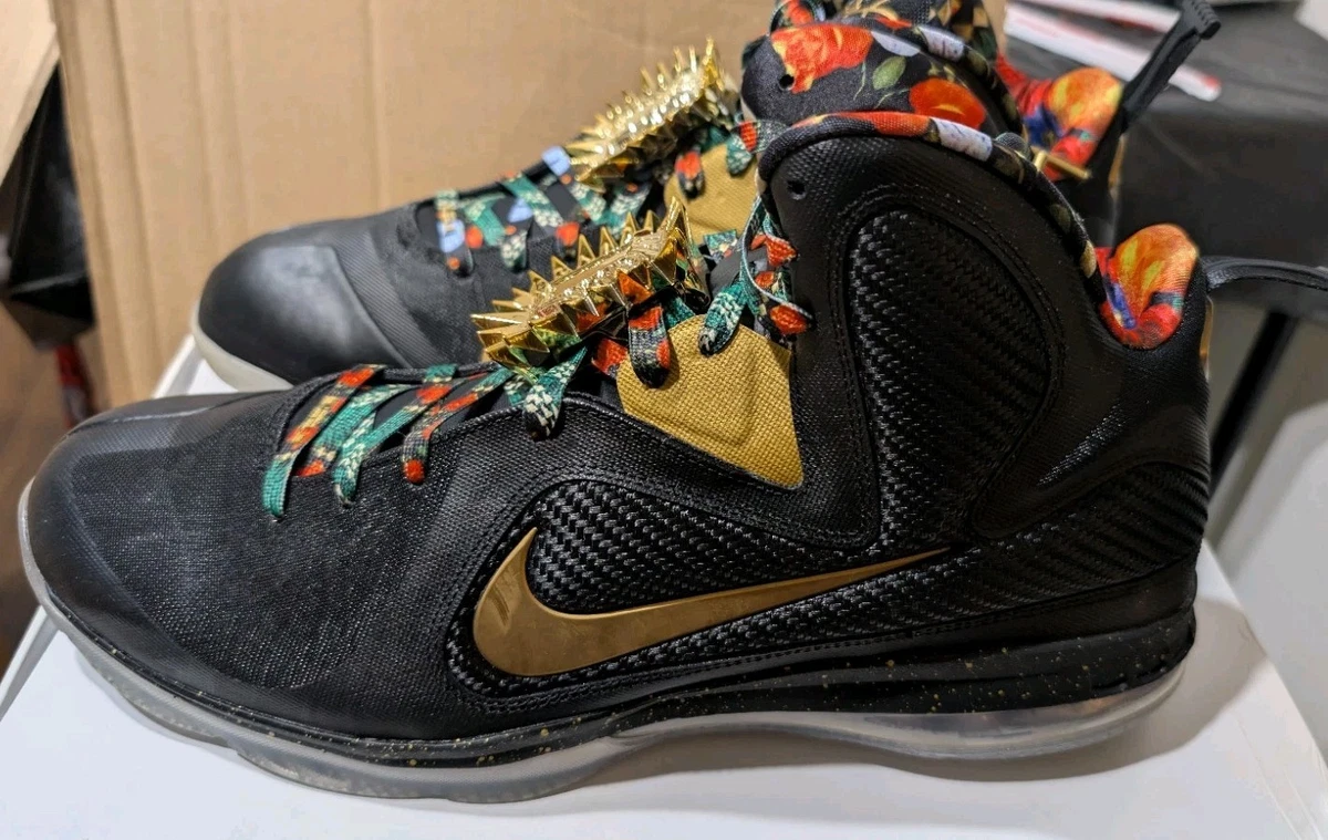 Nike LeBron 9 2022 Watch The Throne for sale | eBay