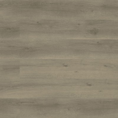 Parkshore 7 in. x 48 in. x 12 MIL Luxury Vinyl Flooring, Rigid Core Planks, L...