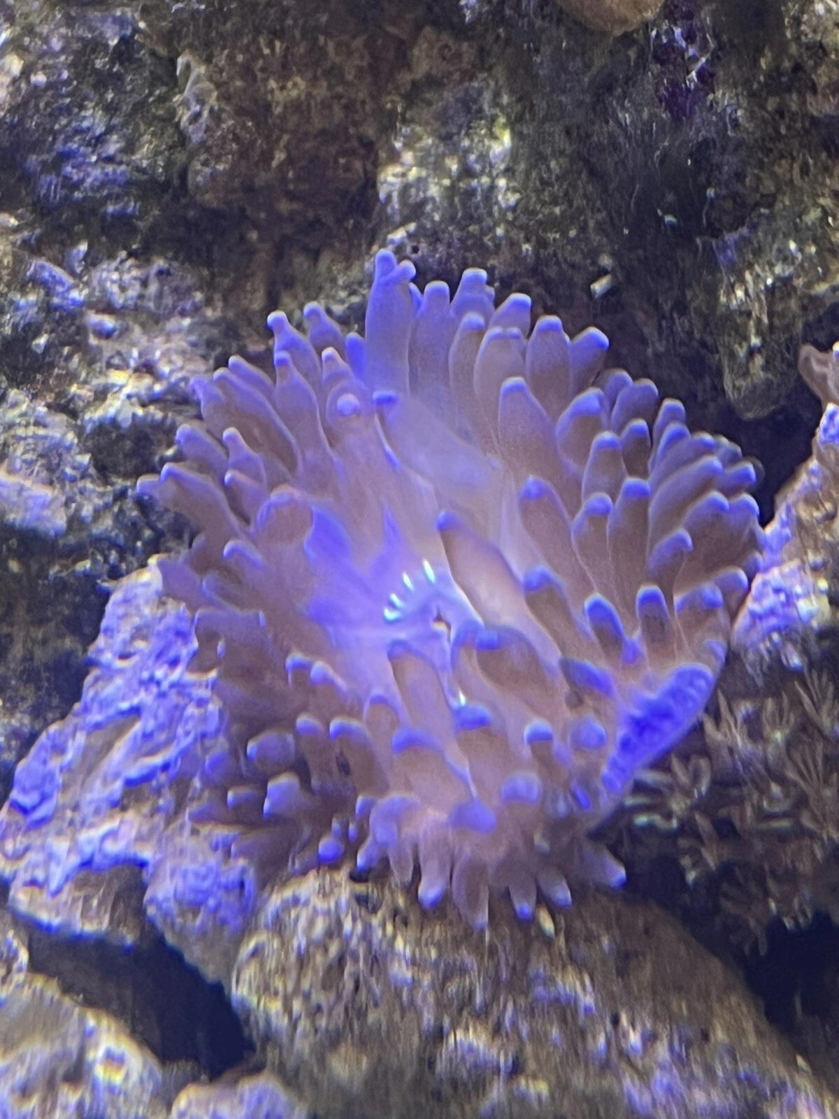 Picture 1 of 5