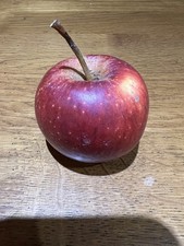 5 x apple scions , pick and mix, rare heritage, list of varieties in decription 