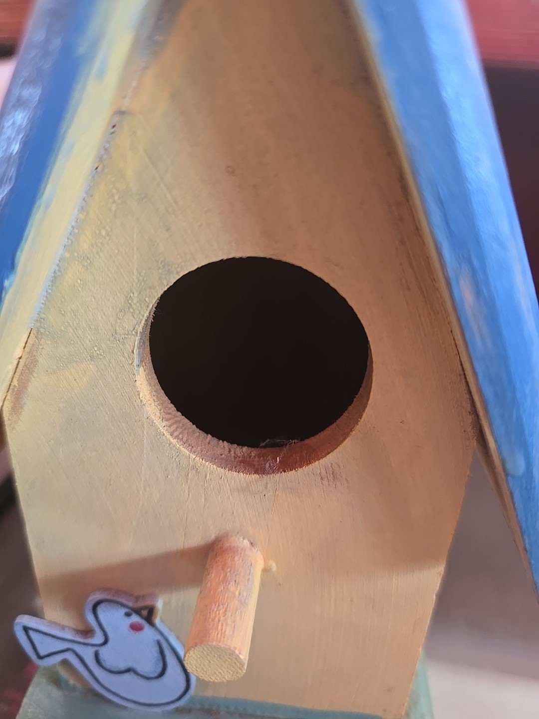 Picture 5 of 5