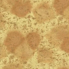 Michael Miller Fairy Frost  -  Fawn