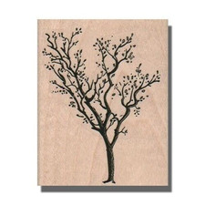 Mounted Rubber Stamp, LEAFLESS TREE, Fall Woods Forest Leaf Plant Branch Nature