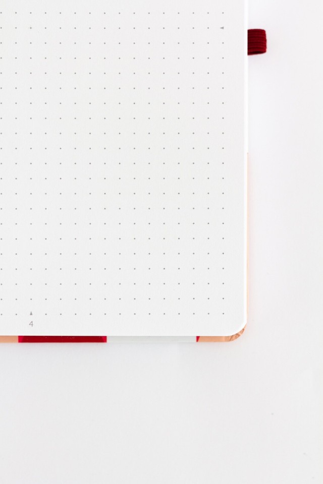 Elliptical Entries Dotgrid Notebook eBay