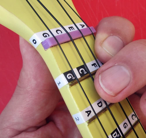 Beginners UKULELE MUSIC NOTE FRET STICKERS Children's Uke Label Decals + Lessons