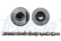 Freccia Nockenwelle CM05-2165 FüR Opel Renault Nissan Interstar Primastar Master