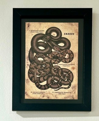 Dunkles Gothic Wandbild schwarz gerahmt 5 x 7 Zoll Rahmen Alternative Wohndeko Geschenk