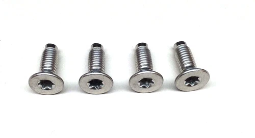 4 ea. Stainless Steel Door & Tailgate Torx Screws Fits 1976-1995 Jeep Wrangler