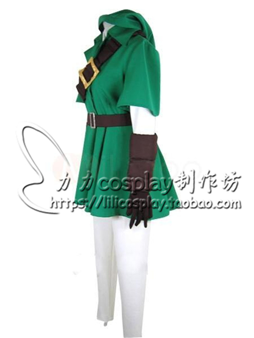 Legend of Zelda Zelda Link Cosplay Costume csddlink Cos outfit full set