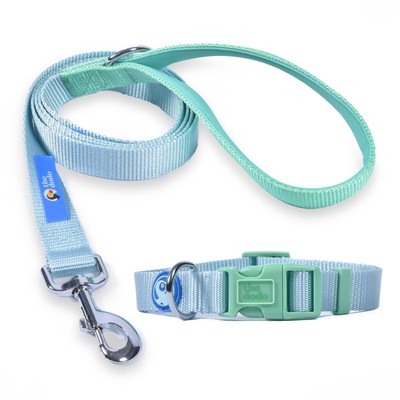 All Nylon Blue and Green Collar and Leash Set - Medium Matching Cute Leash an...