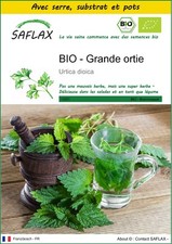 SAFLAX - Kit de culture - BIO - Grande ortie - 2000 Graines