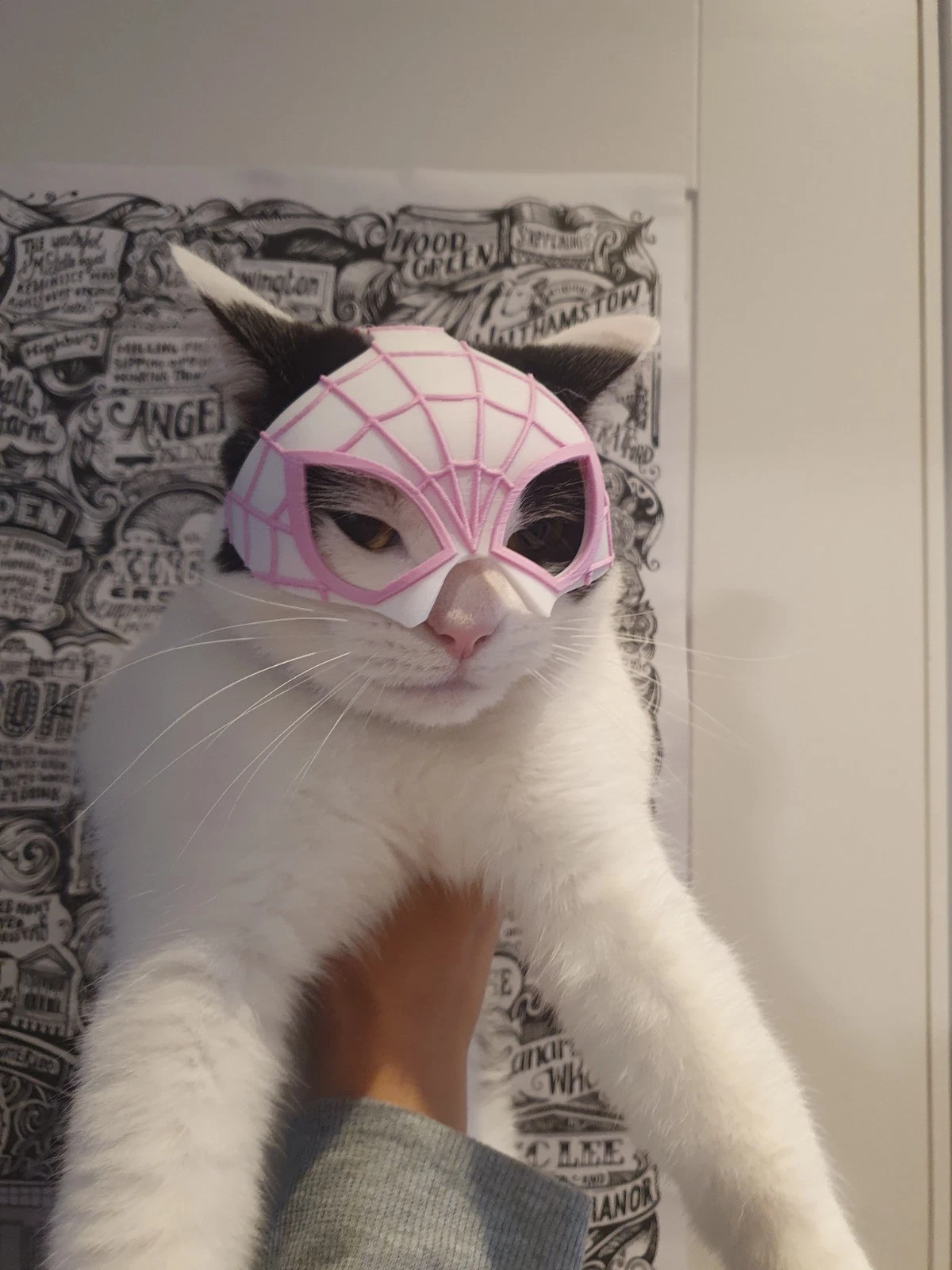 Spider Gwen Spider-Man Mask for Cats The Purr-fect Superhero Costume