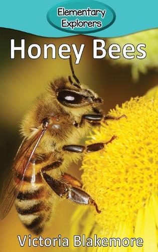 Victoria Blakemore Honey Bees (gebundene Ausgabe) Elementary Explorers