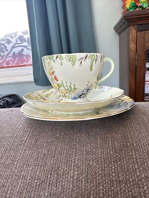 Antikes Foley Bone China Trio. Pattern V2229 E. Brain & Co