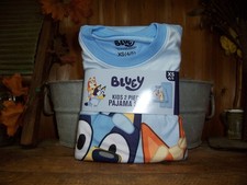 BLUEY BOYS 2 PIECE PAJAMA SLEEP SET SIZE XS 4-5 DOG THEME CARTOON APPAREL NEW