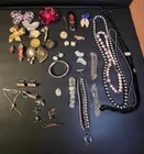 Lot Vintage Costume Jewelry Mixed Items Pins, Necklaces, Others See Pictures!